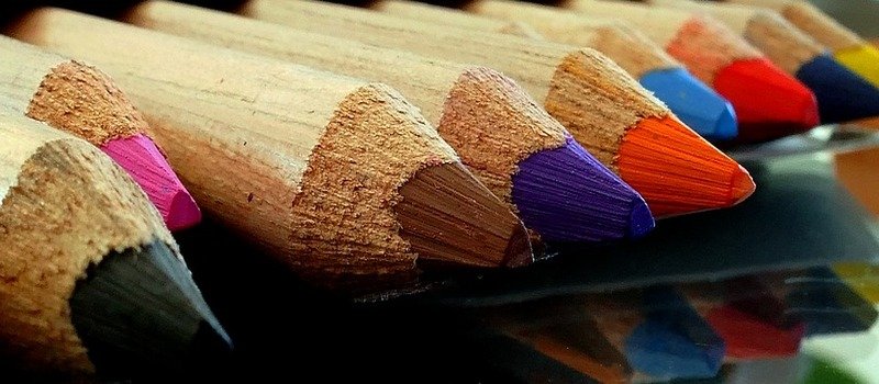 what wood are pencils made of